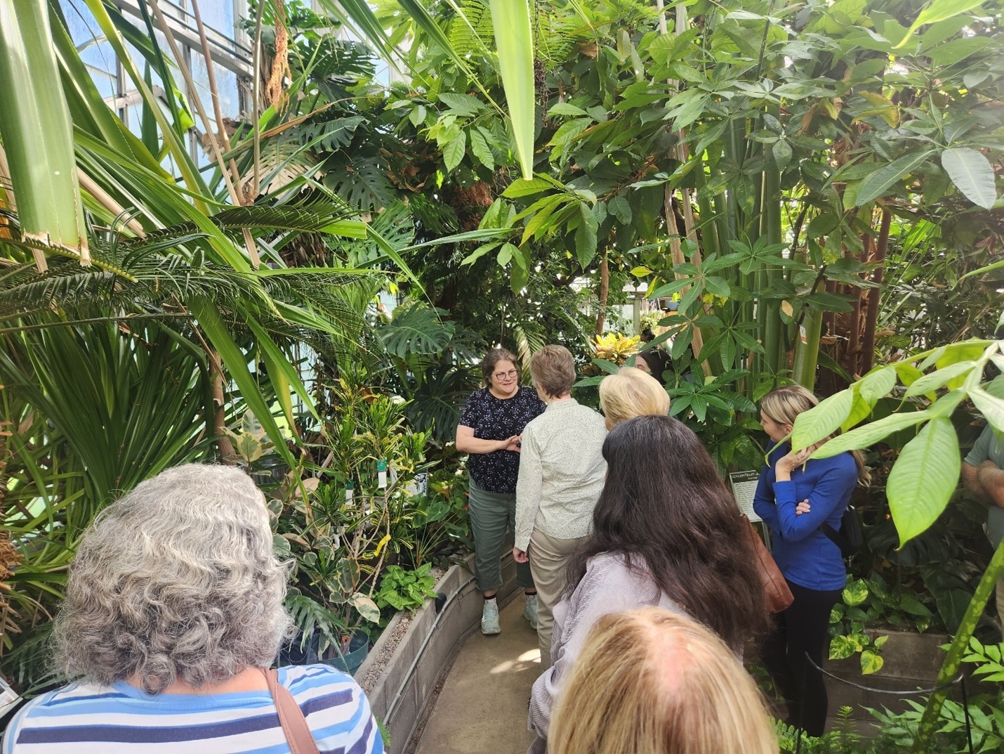 An intergenerational group at the McMaster greenhouse on Older Adult Open Campus Day